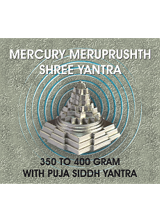 Parad Shree Yantra With Pooja
